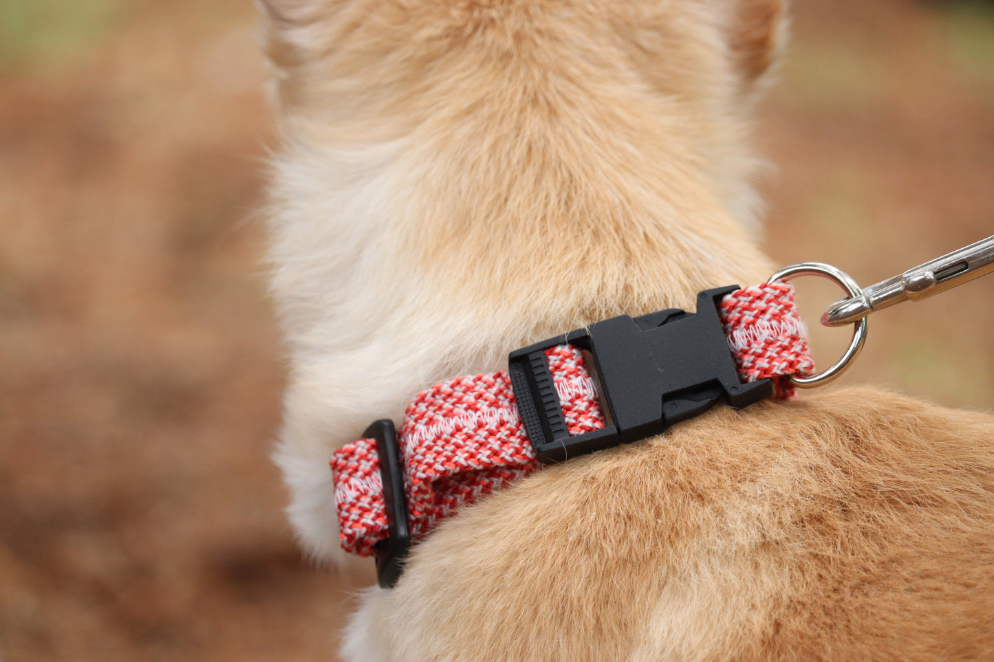 Recycled Rope Collar - Summer Sizzle