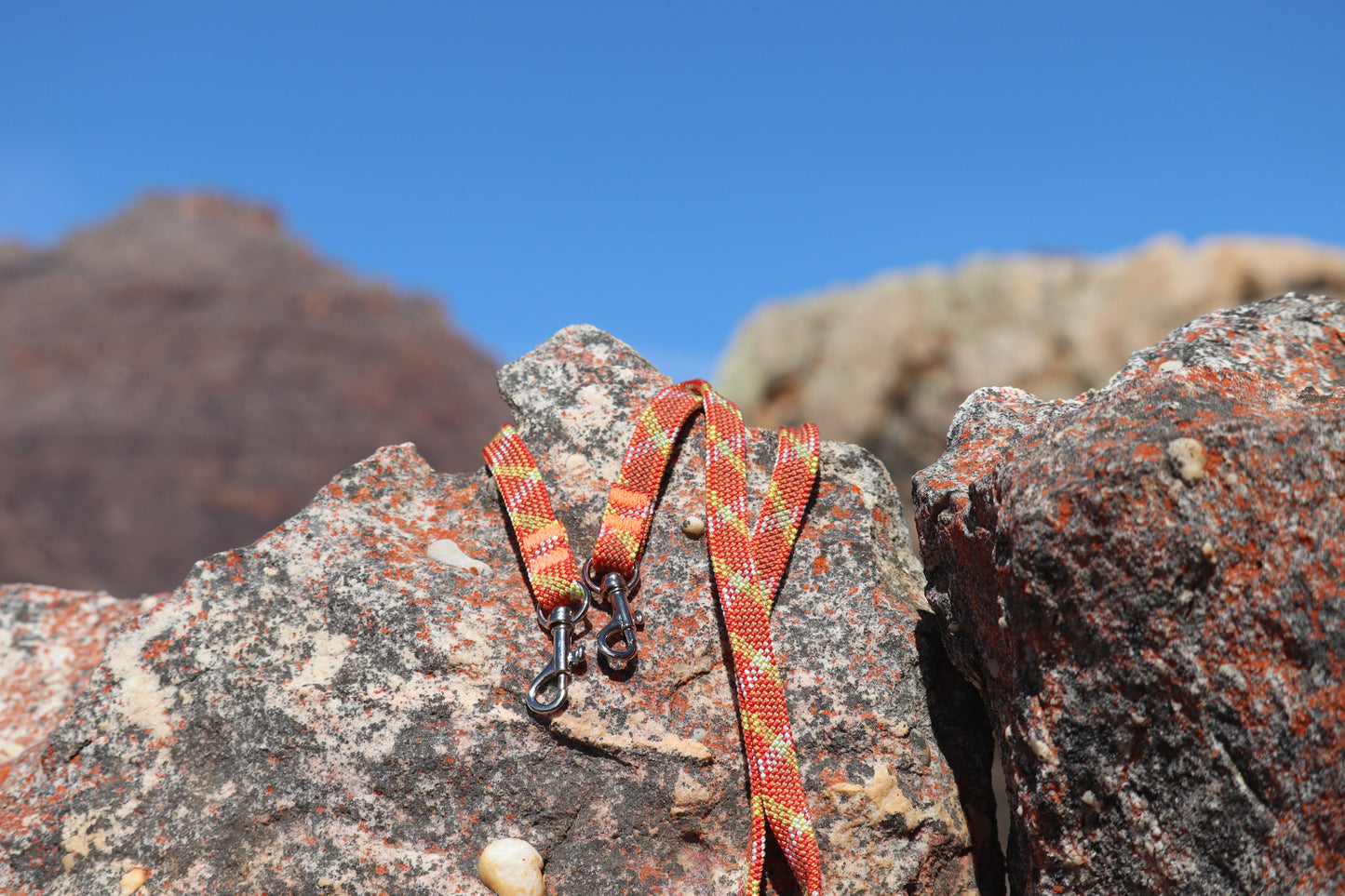 Camera Strap - Lucky Mandarin