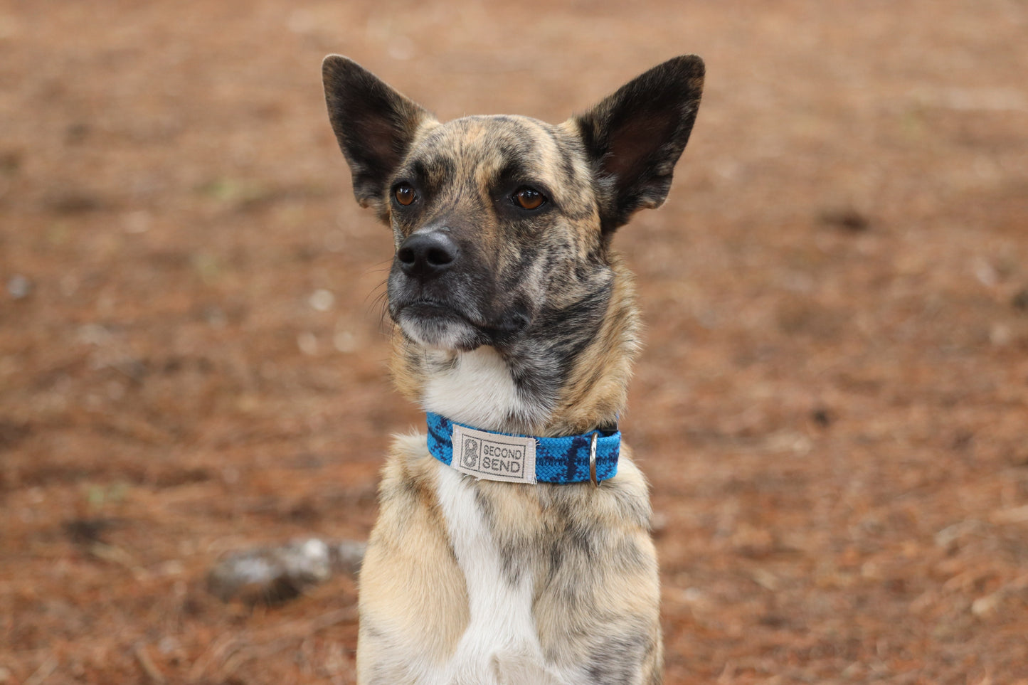 Recycled Rope Collar - True Blue