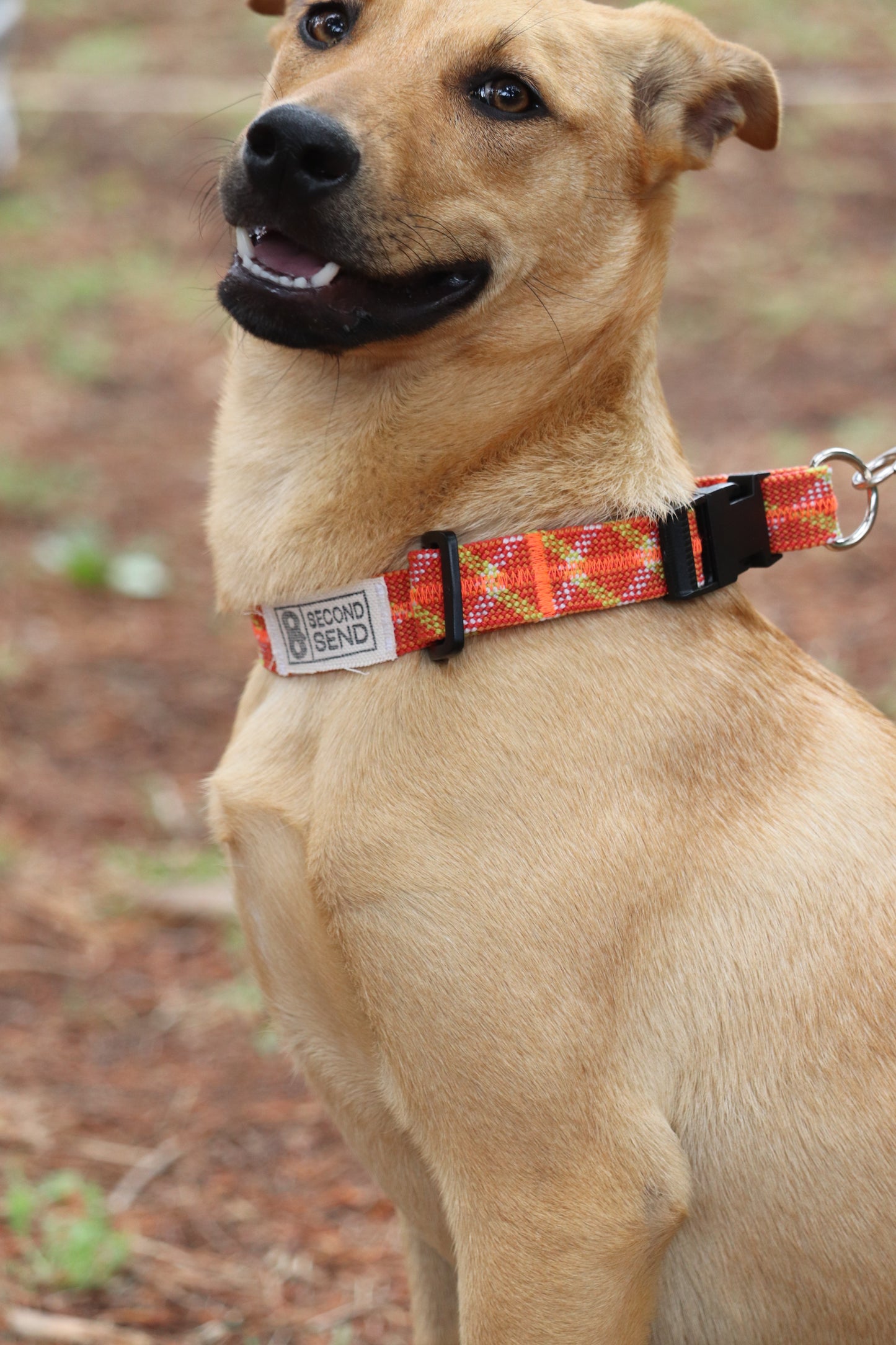 Recycled Rope Collar - Lucky Mandarin