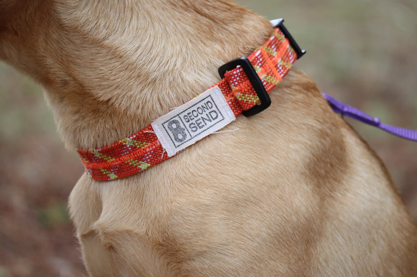 Recycled Rope Collar - Lucky Mandarin