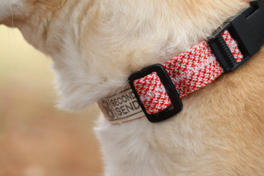Recycled Rope Collar - Summer Sizzle