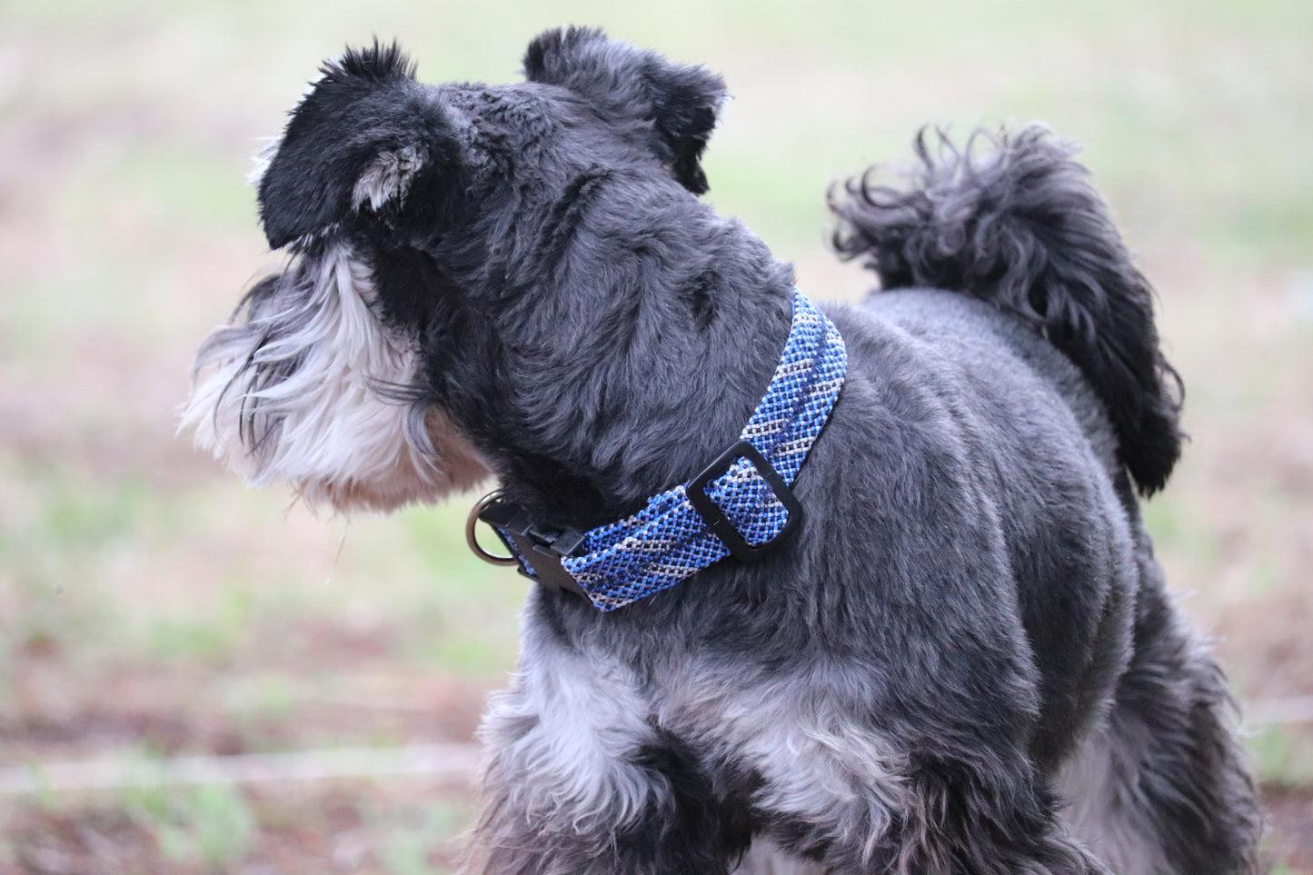 Recycled Rope Collar - Alpine Lake