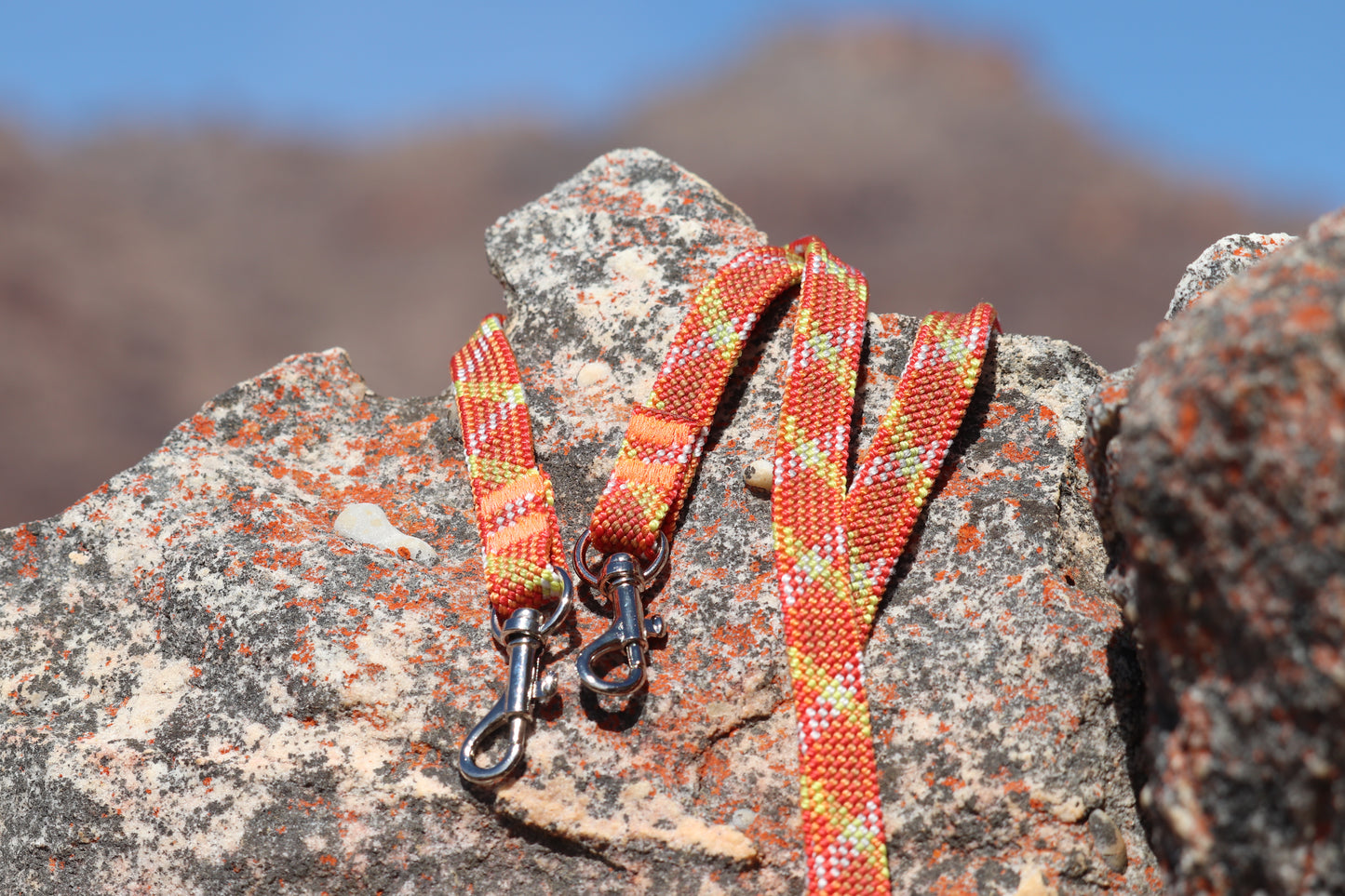 Camera Strap - Lucky Mandarin