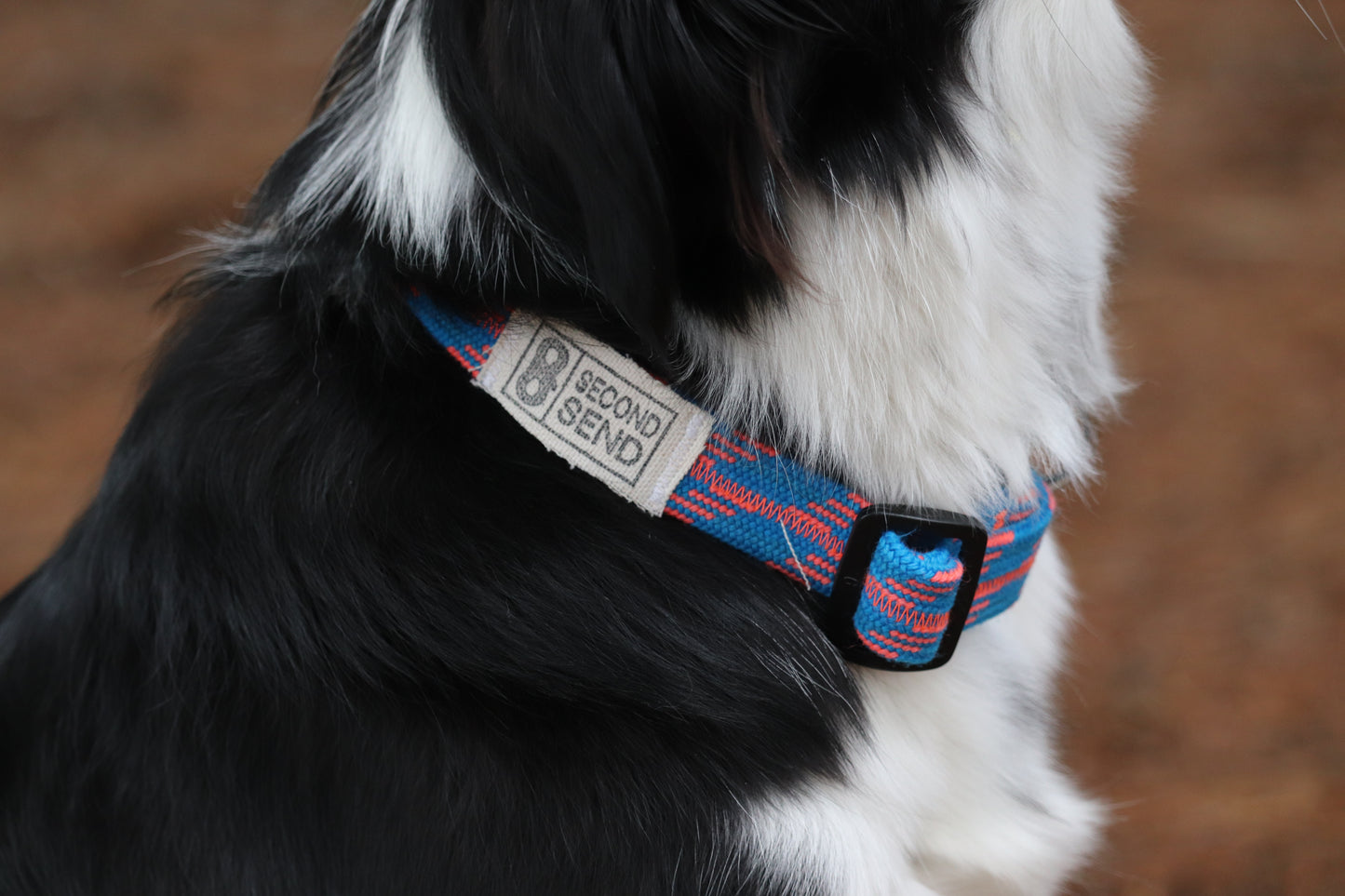 Recycled Rope Collar - Rock City