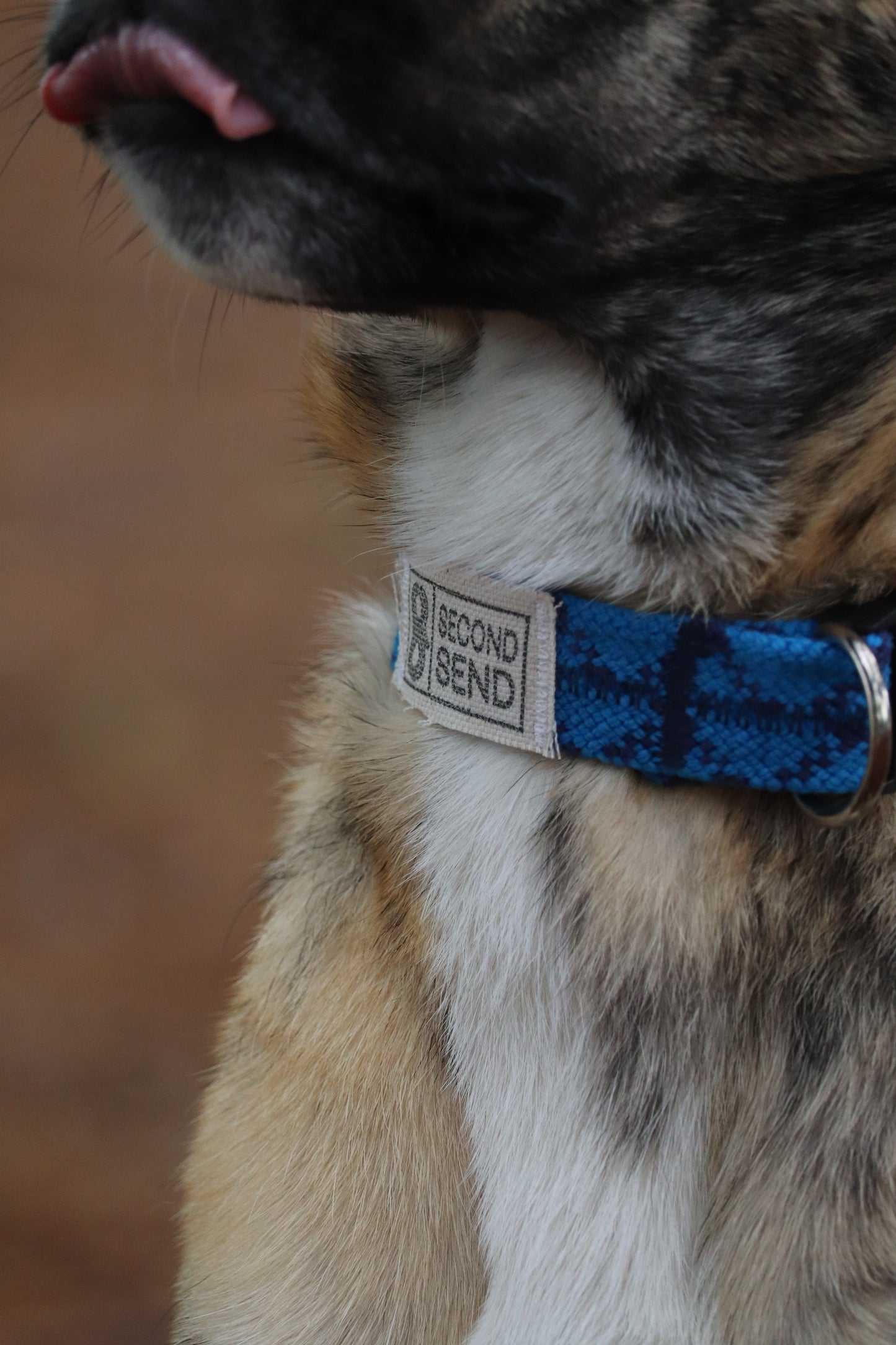 Recycled Rope Collar - True Blue