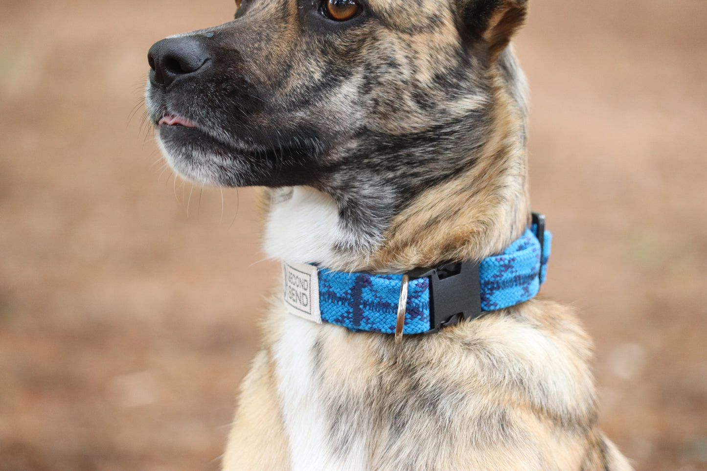 Recycled Rope Collar - True Blue