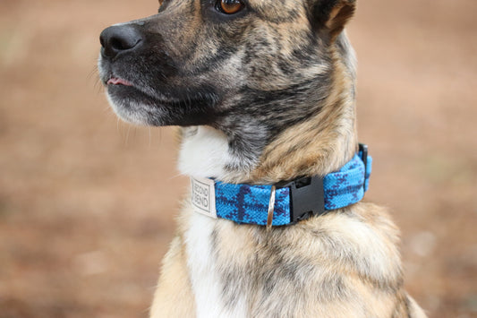 Recycled Rope Collar - True Blue