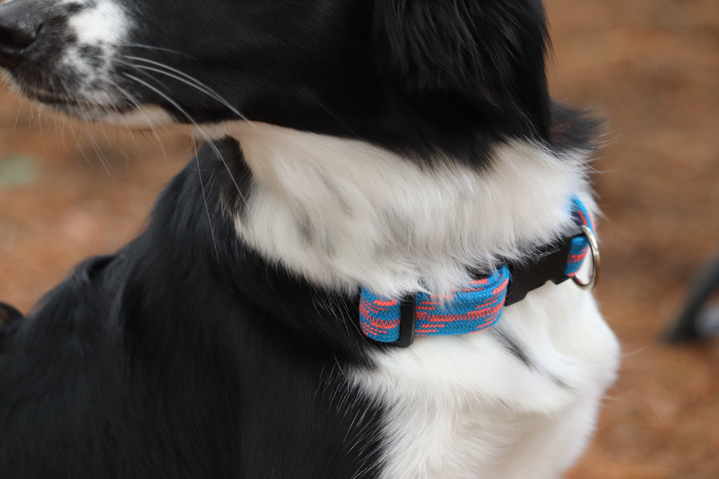 Recycled Rope Collar - Rock City